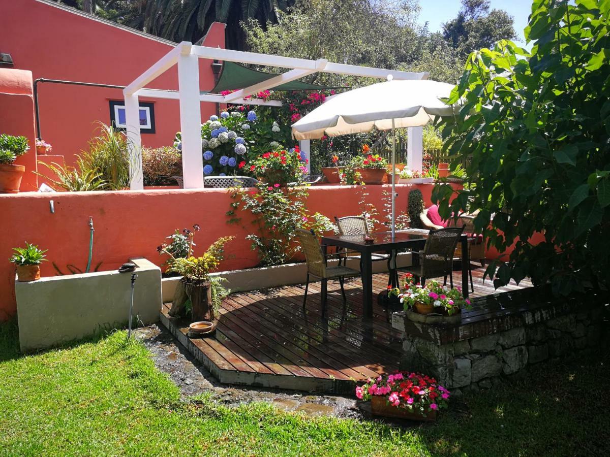 Jardines De Hortensia - Vacation Home Tenerife La Laguna  Exterior photo